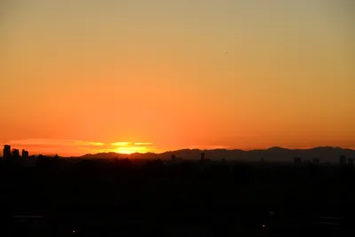 DSC_1487 (Large).JPG